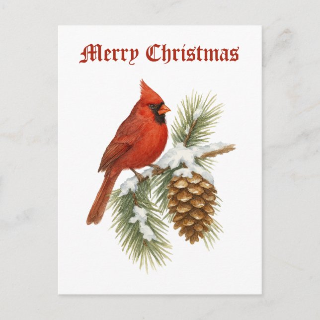 Postal Festiva Cardinal On Snowy Pine Tree Christmas (Anverso)
