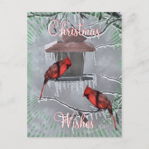 Postal Festiva CardinalsIcyFeederPostcard-personalizar