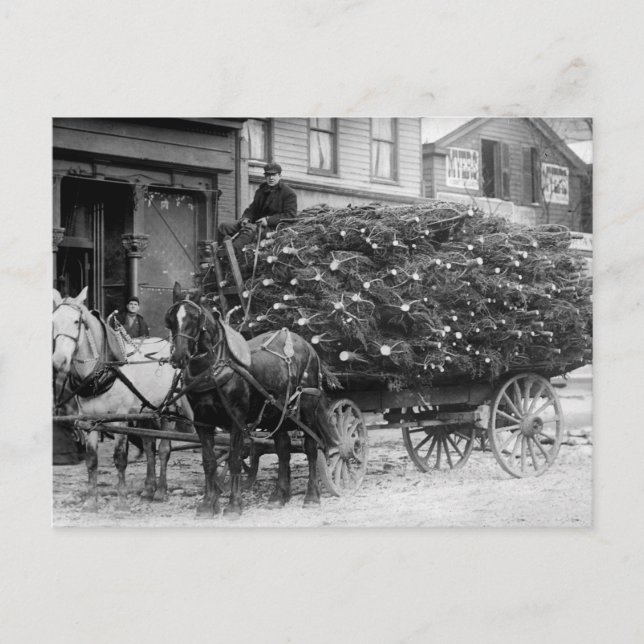 Postal Festiva Carga de árboles de navidad, 1910 (Anverso)