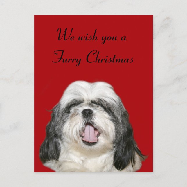 Postal Festiva Caroling Navidades Shih Tzu (Anverso)