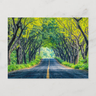 Postal Festiva Carretera por la avenida del árbol denso