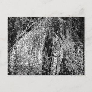 Postal Festiva casa de vida