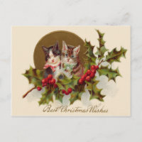 Cat Kitten Holly Winterberry