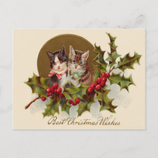 Postal Festiva Cat Kitten Holly Winterberry