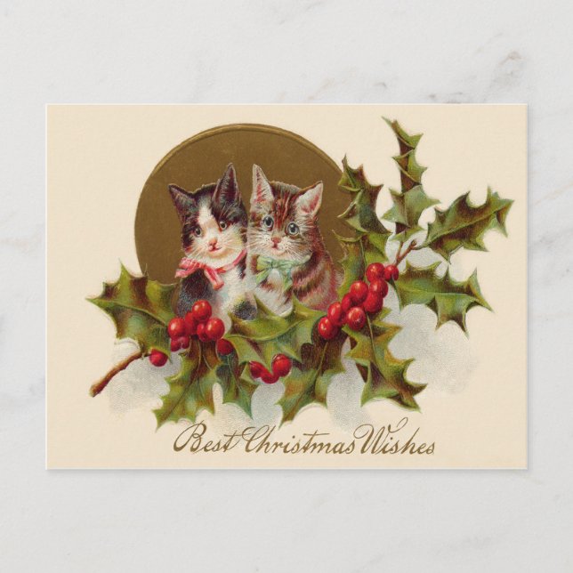 Postal Festiva Cat Kitten Holly Winterberry (Anverso)