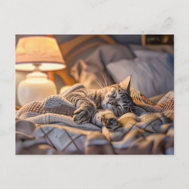 Postal Festiva Cat lounging on couch with blanket and lamp (Anverso)