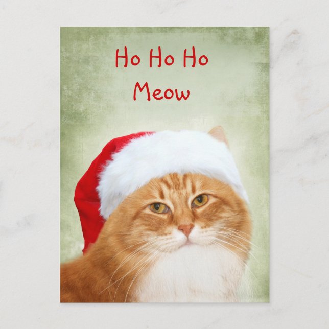 Postal Festiva Cat Santa Claus (Anverso)