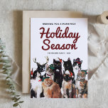 Postal Festiva Cataratas de color agua Navidades purrfecto Foto v<br><div class="desc">Envíe saludos de vacaciones con esta postal de vacaciones con temática de gato. Cuenta con un adorable grupo de gatos con gorras festivos. Personalice agregando nombres,  año,  mensaje y foto. Esta postal es perfecta para los amantes del gato.</div>