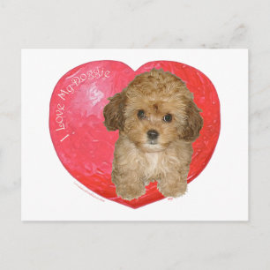Postal Festiva Cavachon San Valentín