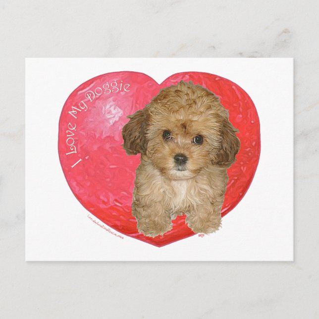 Postal Festiva Cavachon San Valentín (Anverso)