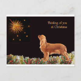 Postal Festiva Cavalier, Navidades de Ruby