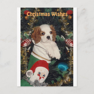 Postal Festiva Cavalier Puppy En Navidades Alzándose