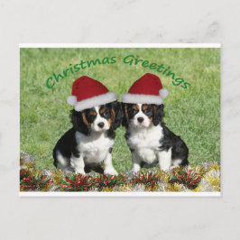 Postal Festiva Cavaliers In Santa Hats