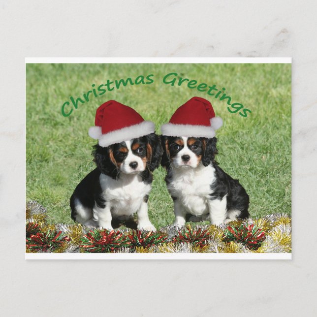 Postal Festiva Cavaliers In Santa Hats (Anverso)