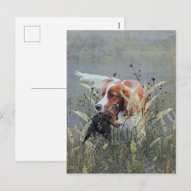 Postal Festiva Caza con Epagneul Breton (Anverso / Reverso)