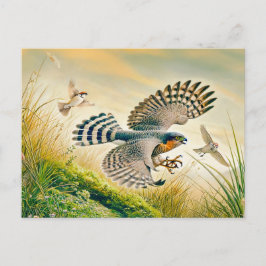 Postal Festiva Caza de espárragos en la pradera