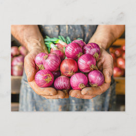 Postal Festiva Cebollas rojas frescas mantenidas por granjeros