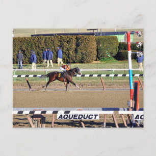 Postal Festiva Charla Pacífica Gana el Día de Año Nuevo