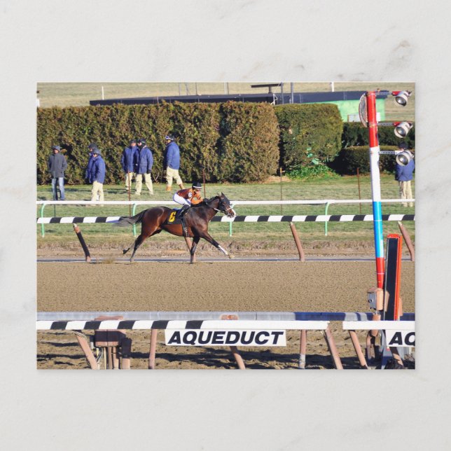 Postal Festiva Charla Pacífica Gana el Día de Año Nuevo (Anverso)