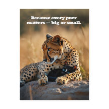 Cheetah Guardian, Corazón Gatito