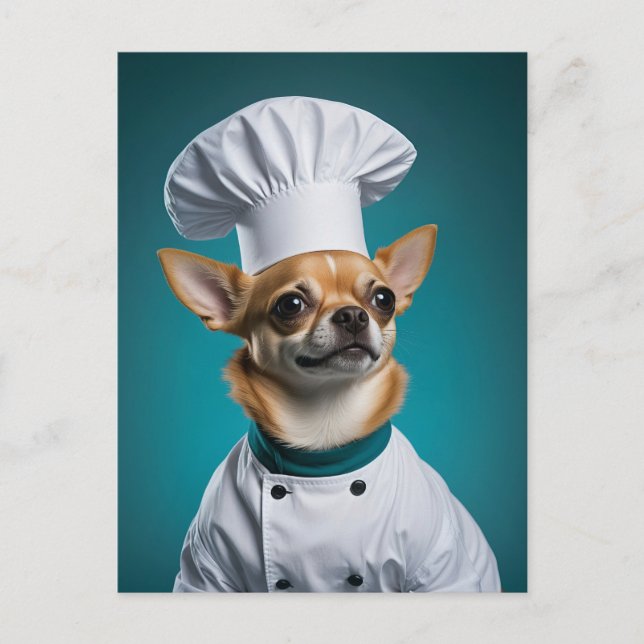 Postal Festiva Chef Chihuahua (Anverso)