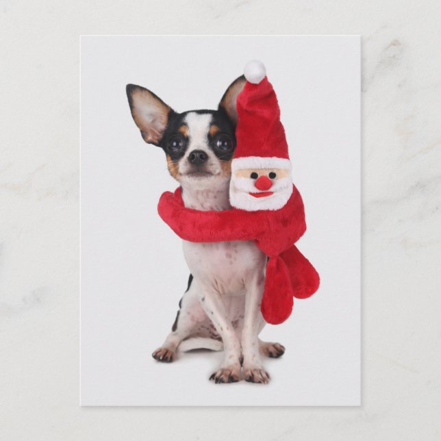 Postal Festiva Chihuahua con la muñeca de Papá Noel (Anverso)
