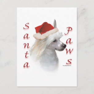 Postal Festiva Chinese Crested (polvo) Santa Paws