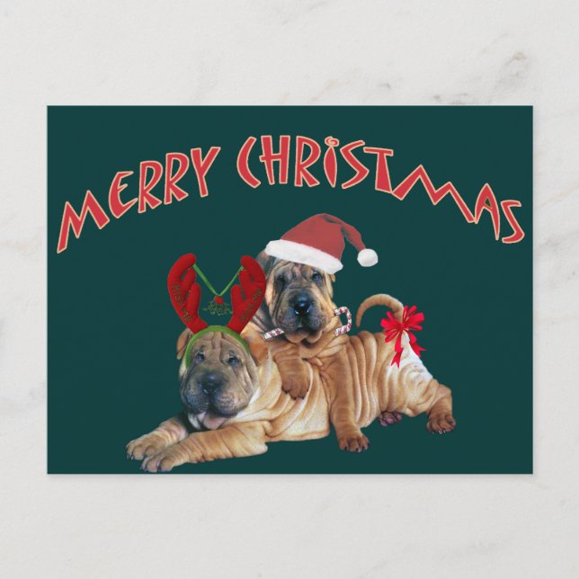 Postal Festiva Chinese Shar-pei Merry Christmas Gifts (Anverso)