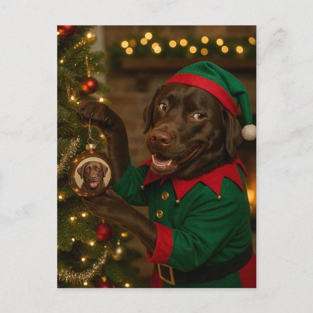 Postal Festiva Chocolate  Labrador Dog Christmas Holiday postcard (Anverso)