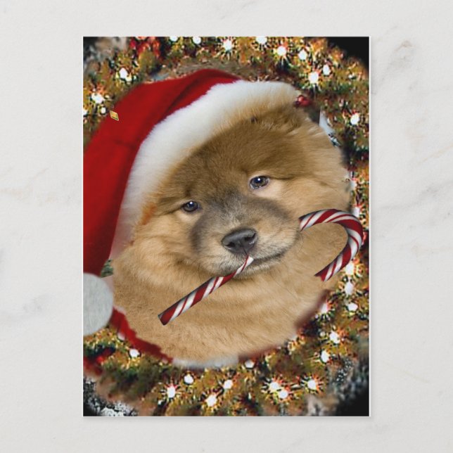 Postal Festiva Chow Chow Navidades Candy Cane regalos (Anverso)