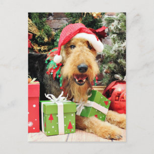 Postal Festiva Christmas - Airedale - Kiehn
