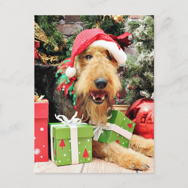 Postal Festiva Christmas - Airedale - Kiehn (Anverso)