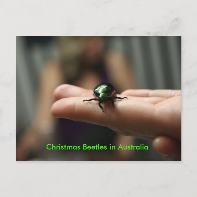 Postal Festiva Christmas Beetle (Anverso)