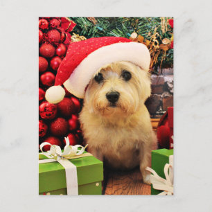 Postal Festiva Christmas - Cairn Terrier - Roxy