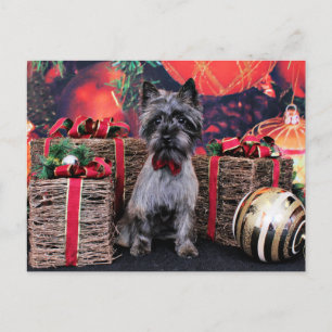 Postal Festiva Christmas - Dexter - Cairn