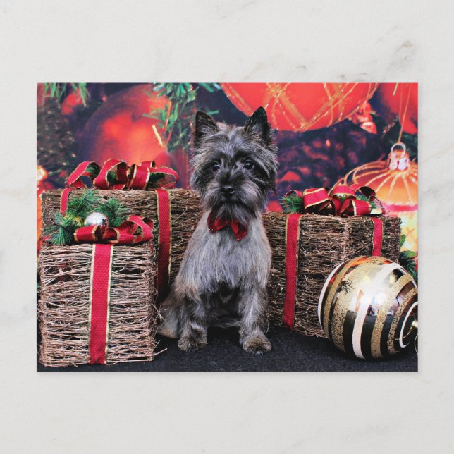 Postal Festiva Christmas - Dexter - Cairn (Anverso)