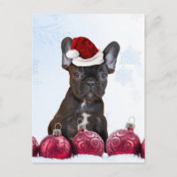 Christmas French Bulldog