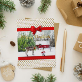 Postal Festiva Christmas Joy and Peace Photo