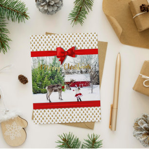 Postal Festiva Christmas Joy and Peace Photo