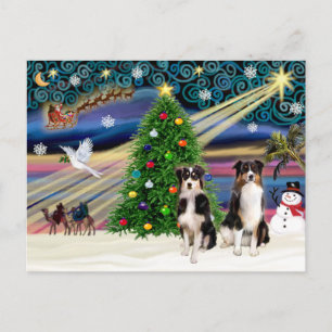 Postal Festiva Christmas Magic Australian Shepherds (dos, 6-7)