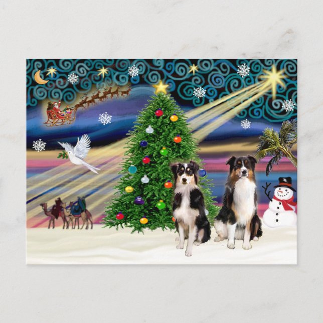 Postal Festiva Christmas Magic Australian Shepherds (dos, 6-7) (Anverso)