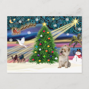 Postal Festiva Christmas Magic Cairn Terrier (Trigueño)