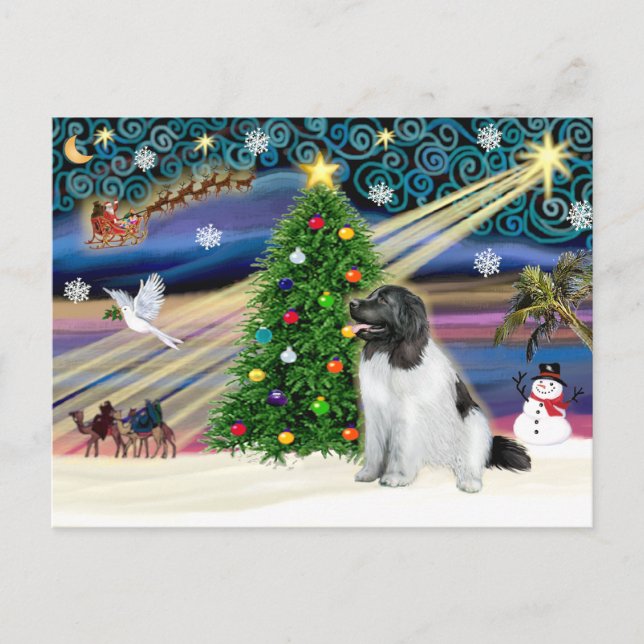 Postal Festiva Christmas Magic Newfoundland (Landseer) (Anverso)