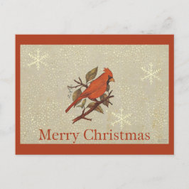 Postal Festiva Christmas Red Bird Cardinal Snow