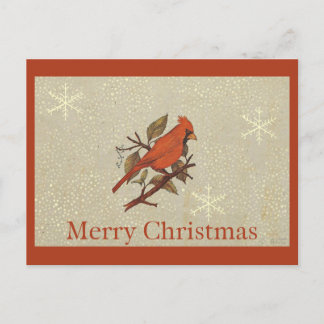 Postal Festiva Christmas Red Bird Cardinal Snow
