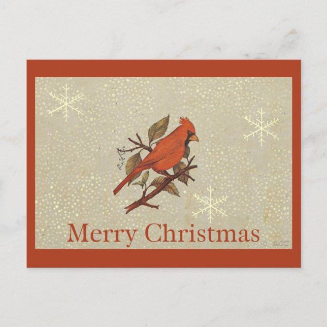 Postal Festiva Christmas Red Bird Cardinal Snow (Anverso)