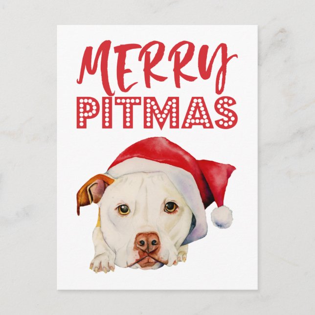 Postal Festiva Christmas Santa Pit Bull Dog | Merry Pitmas (Anverso)