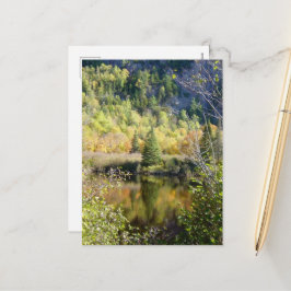 Postal Festiva Christmas Tree holiday postcard