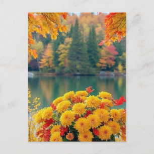 Postal Festiva Chrysanthemum Blooms Along the Autumn Lakeshore Ar