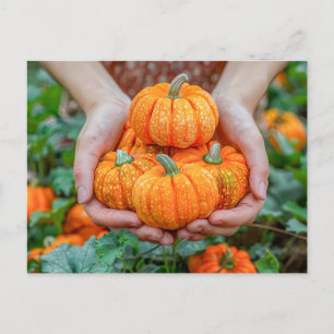 Postal Festiva Cierre decorativo de la cosecha de calabaza
